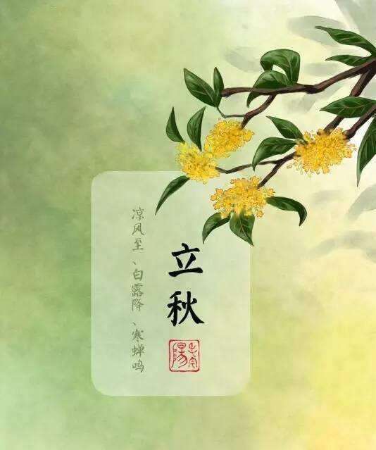 第445页