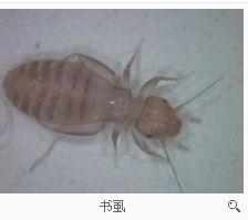游戏专题 第72页